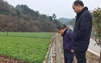 南漳：践行共同缔造理念，共谋共建灌溉沟渠