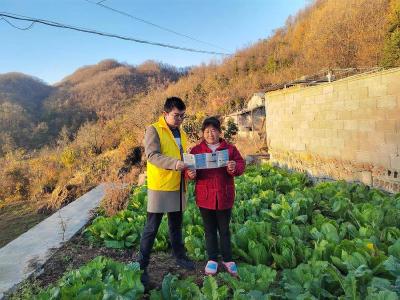 南漳：禁种铲毒除隐患 同心聚力筑平安