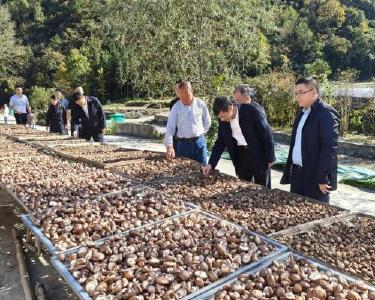 省司法厅调研组到李庙镇调研乡村振兴工作