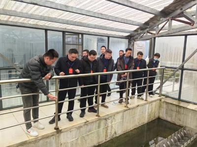 县人大常委会开展人大代表建议办理情况专项检查