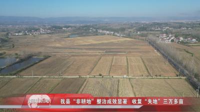 南漳新闻丨我县“非耕地”整治成效显著 收复“失地”三万多亩