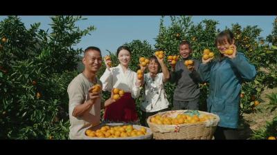湖北南漳：橘乡美如画 “醉”美金南漳