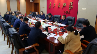 陈栋：主动服务靠前服务全程服务，千方百计推动中化学新能源产业园项目建设提速提效