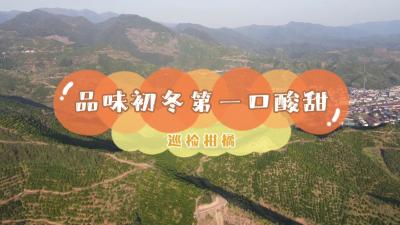 湖北南漳：相约巡检 品味冬天的第一口酸甜
