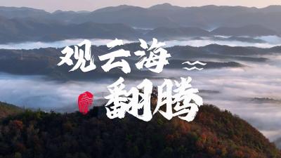 来南漳，邂逅这片翻腾的“海”