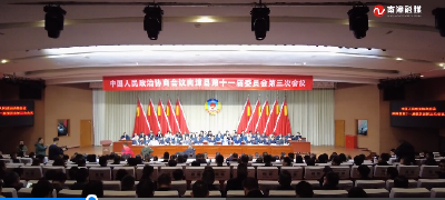 V视频丨政协会议闭幕