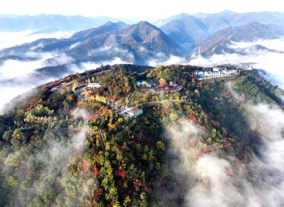 湖北南漳：浮岚翠暖
