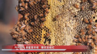 南漳新闻丨蜂蜜喜丰收 蜂农采收忙