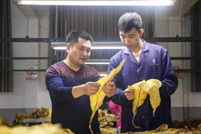 南漳：师带徒，传薪火，助成长