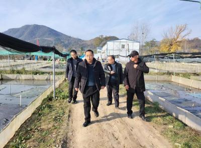 县特色淡水产品产业链：增强“四个意识”　冲刺“全年精彩”