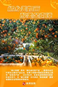 湖北南漳：一年好景君须记  正是橙黄橘绿时
