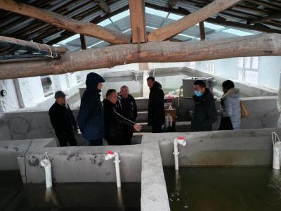 我县水产养殖尾水治理项目通过现场验收