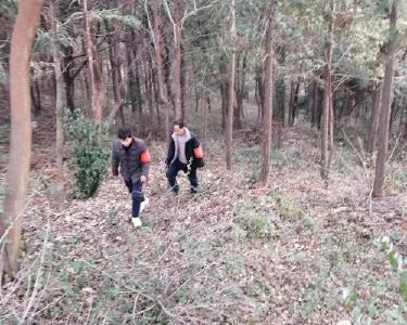 国有七里山林场：精心管护资源　确保生态安全