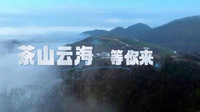 南漳：茶山云海 如诗如画