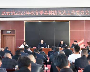武安镇扎实推进森林防灭火工作
