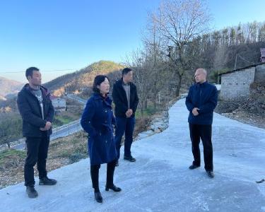 县政协：跨组联动协商　打造蔬菜长廊