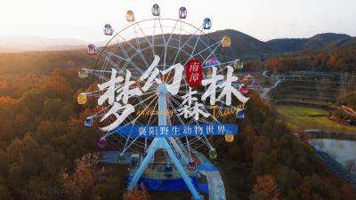 湖北南漳：​梦幻森林