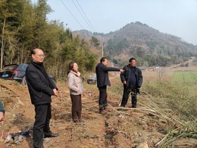 土地变更调查整改第三督导组到武安镇督导整改工作