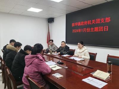 薛坪镇政府机关团支部开展一月份主题团日活动
