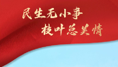 南漳：2023年6大民生实事项目“交卷”啦！