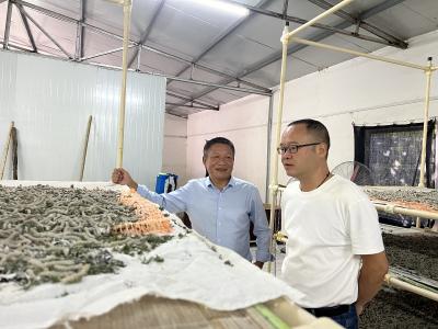 肖堰镇：充分发挥财政职能作用　解锁集体经济增收密码