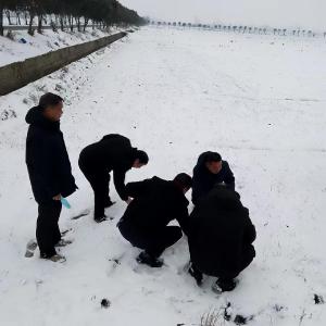 湖北襄阳：向寒而行 守护小麦安全越冬