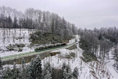 【热点关注】建始森林小火车开进冬日秘境