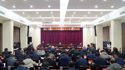 罗兴斌主持召开县委常委会会议强调：深入贯彻落实省市两会精神，全力以赴稳增长促发展