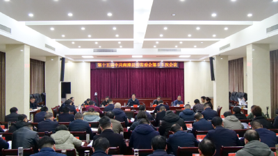 罗兴斌主持召开县委常委会会议强调：抓好“四个聚焦聚力”，做到“四个坚持”，全力推动经济社会高质量发展