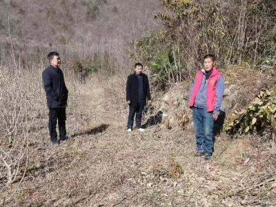 板桥镇林业站：春节绷紧防火弦　呵护森林保安全