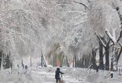 【应急科普】请查收！低温雨雪冰冻灾害防范知识要记牢！