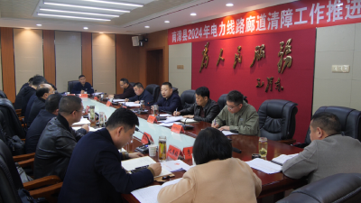 陈栋：压实责任，政企联动，全力消除电力线路树障隐患