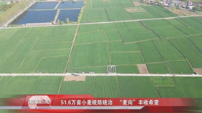 南漳新闻丨51.6万亩小麦统防统治 “麦向”丰收希望