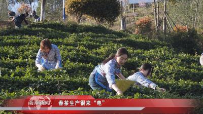 南漳新闻丨春茶生产很来“电”