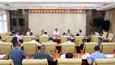 罗兴斌：认识再提高，力量再加强，方法再精准，确保试点工作出经验见实效