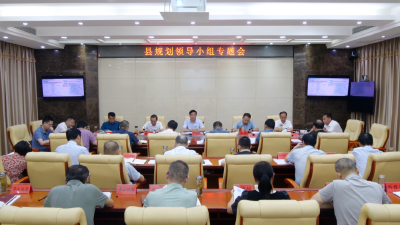 罗兴斌：立足实际彰显特色优化方案，以高质量规划编制引领南漳高质量发展