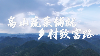湖北南漳：高山蔬菜铺就乡村致富路