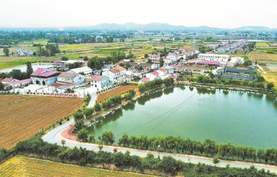 南漳县良种场村：“改”出乡村振兴新气象
