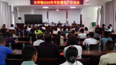 农技专家送培训 助力羊肚菌产业发展  