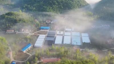 蹲点乡村采访行丨双坪社区的“幸福账单”  
