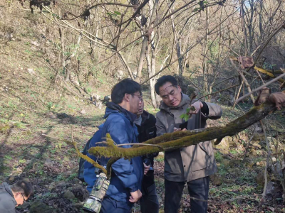漳河源管理处启动国家重点保护植物专项调查