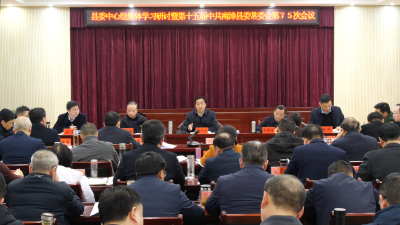 罗兴斌主持召开县委常委会会议强调：保持“稳”的定力，坚定“进”的决心，提升“调”的本领，全力以赴抓经济稳增长促发展