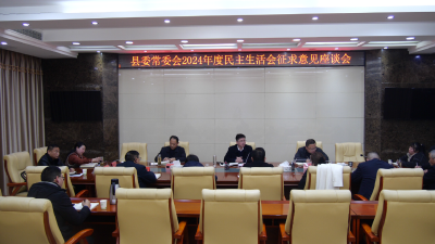 我县召开县委常委会2024年度民主生活会征求意见座谈会  