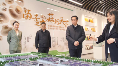 罗兴斌带队赴安徽灵璧招商，就加快推进食用菌乡村振兴产业园项目达成合作意向