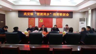 武安镇“楚商回乡”招商联谊会召开  