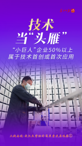 “小巨人”企业近八成是民企 ——大城奋进·武汉民营经济高质量发展观察② 