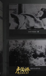 赵一曼绝密档案在北京首度公开 