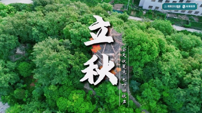 立秋丨风吹一片叶 万物已惊秋  