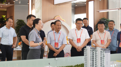 县政协开展加快推动我县房地产市场平稳健康发展专题视察工作  