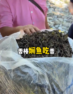 干香椿：泡发即食，鲜掉眉毛！#乡村推介官#助农#乡村振兴